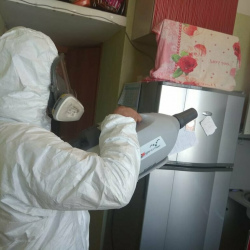 Уничтожение насекомых в квартире. Технологический институт 1